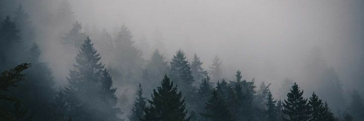 witcher_forever's profile banner image