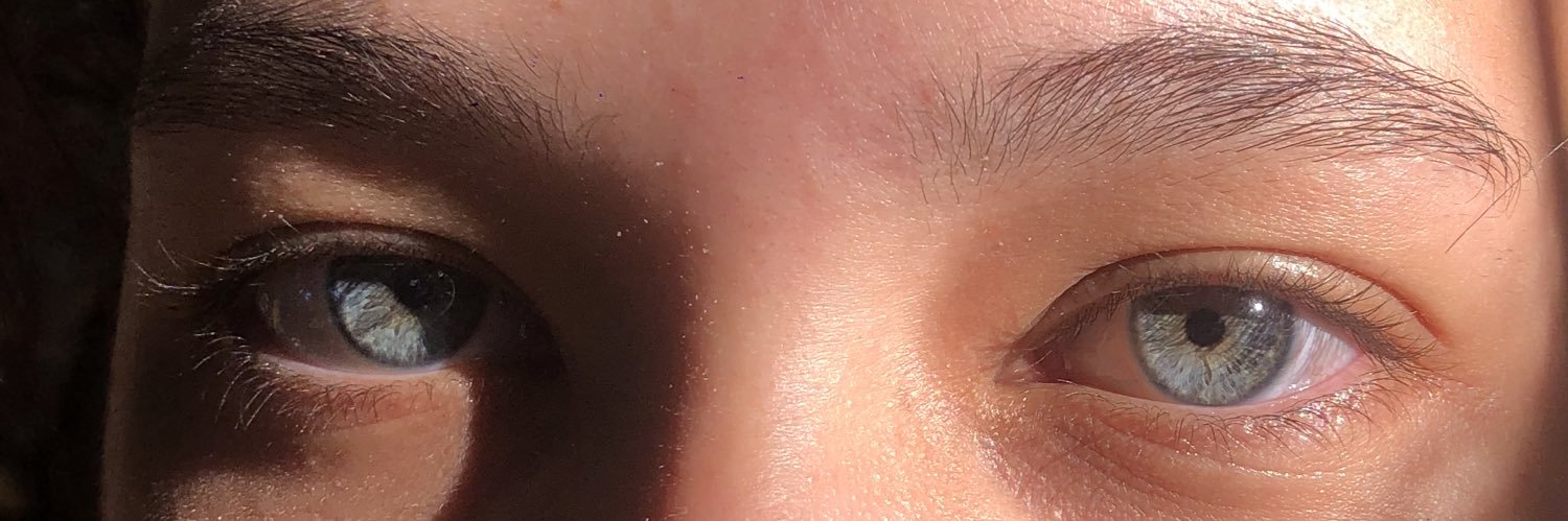 🕸️🕷️ banner