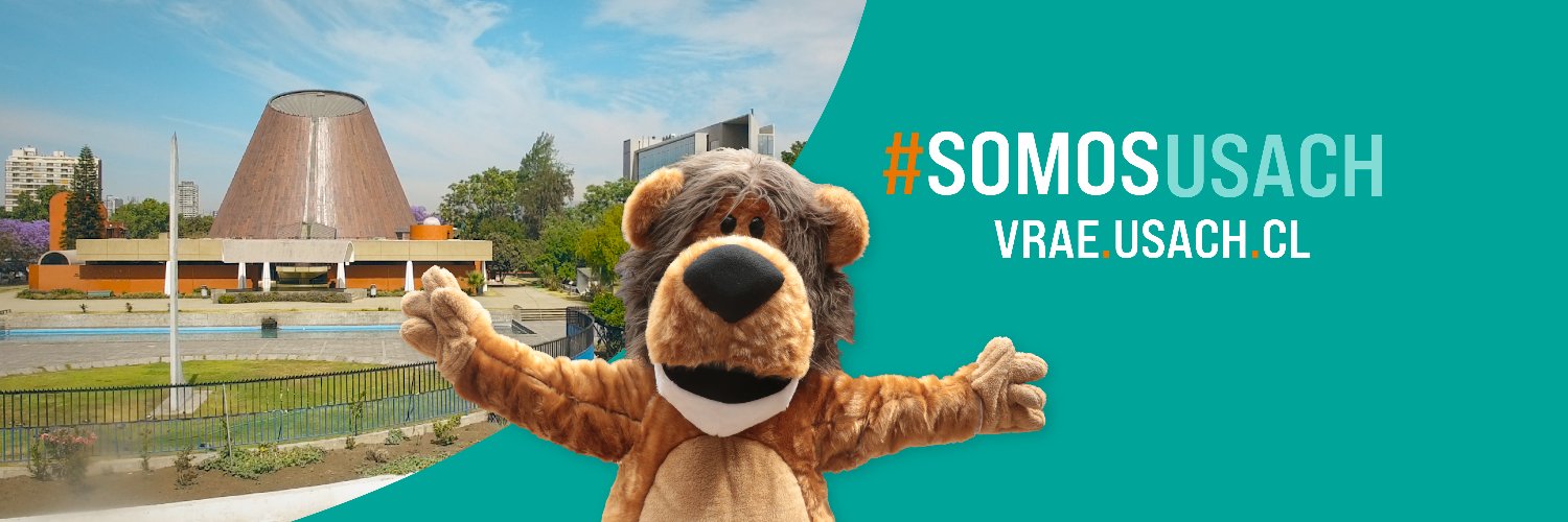 Vicerrectoría de Apoyo Estudiantil USACH banner