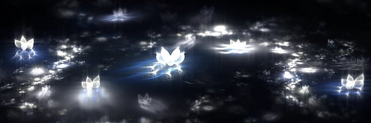 lotus14217's profile banner image