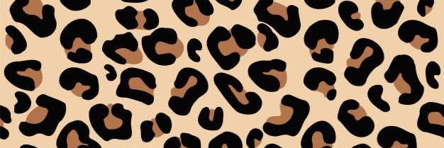 _mollyjade's profile banner image