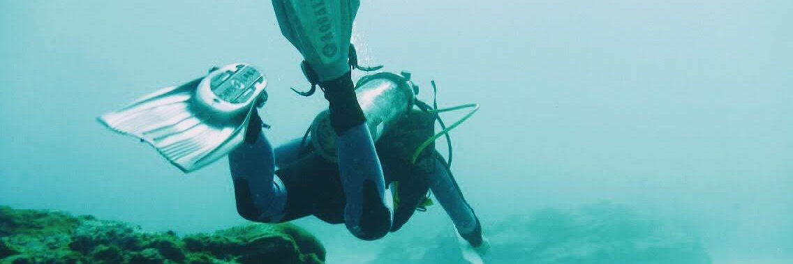 Salvador ⚡️ banner