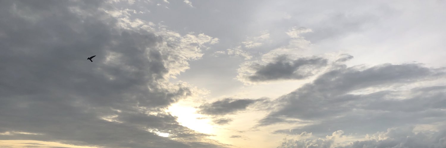 sonofaperson's profile banner image