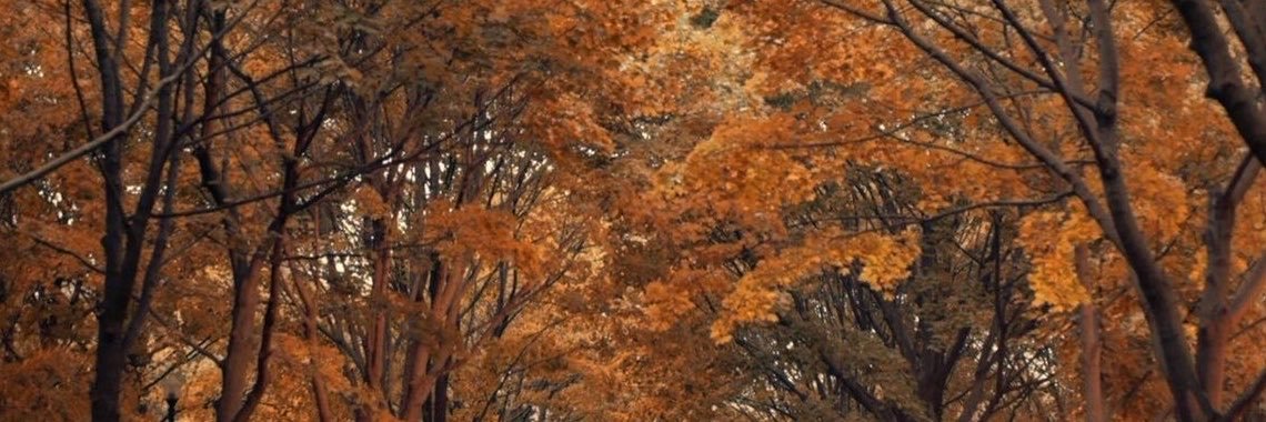 farawaytowns's profile banner image