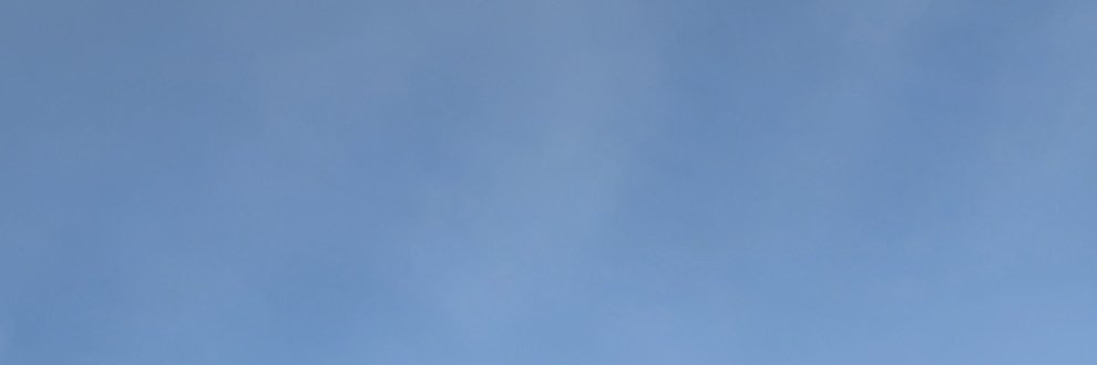 riqinhu banner