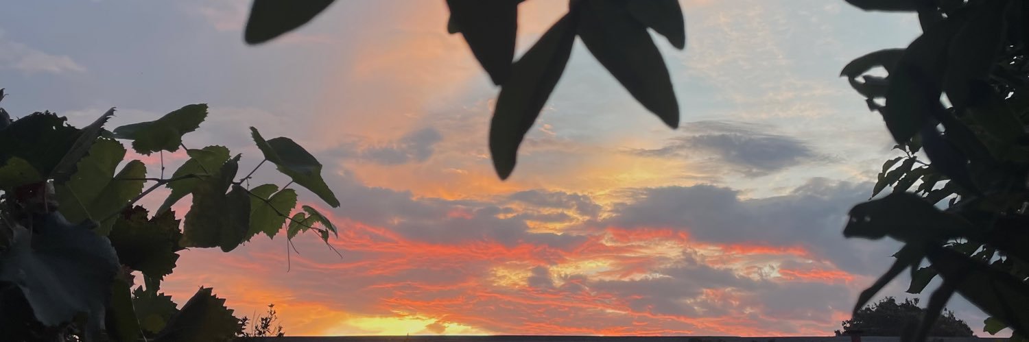MerHorrisberger's profile banner image