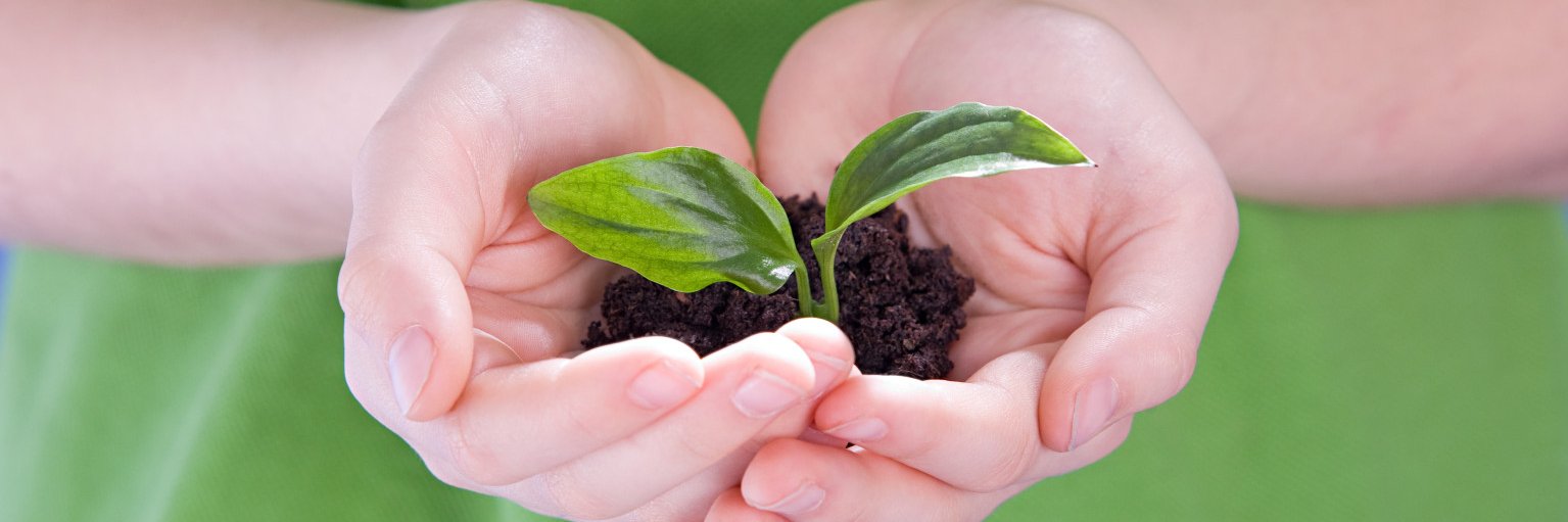 ECC_GovNL_'s profile banner image
