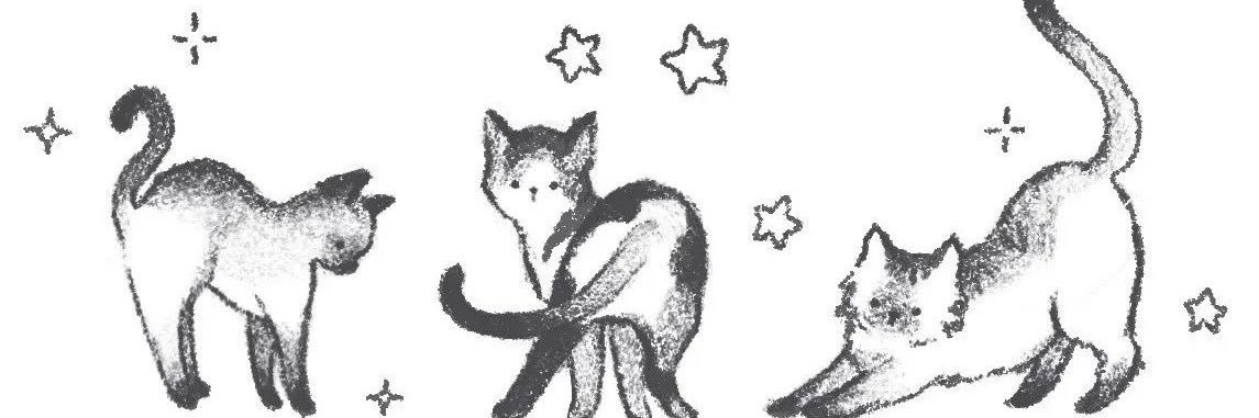 milkbrread's profile banner image
