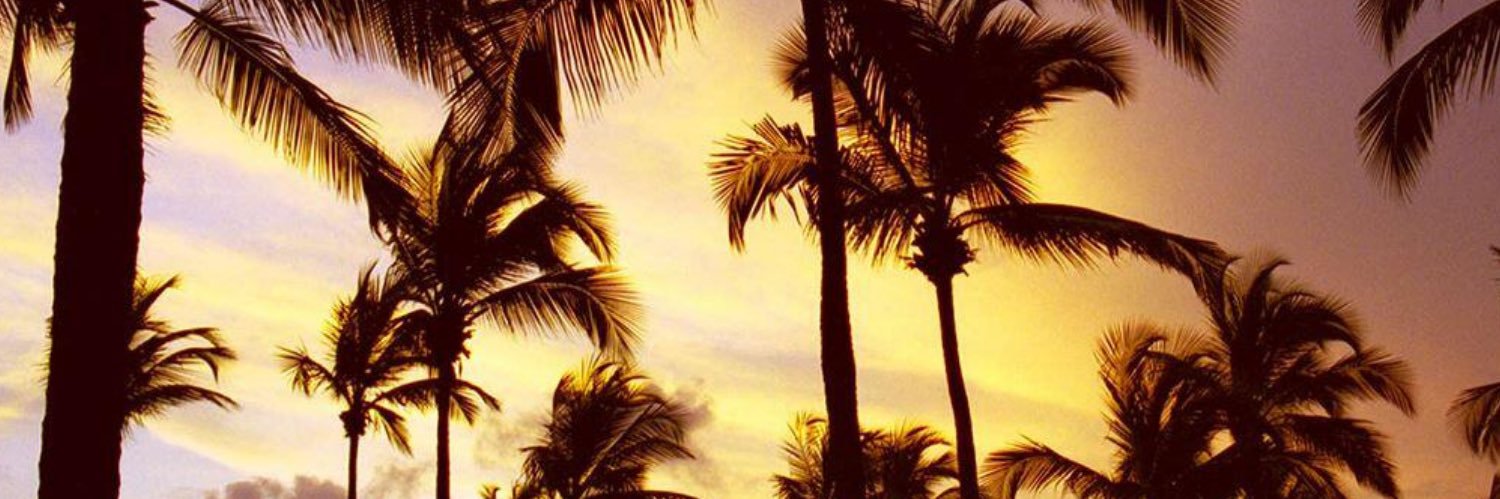 MsMCON_'s profile banner image