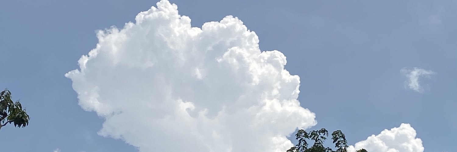 summertimefor's profile banner image