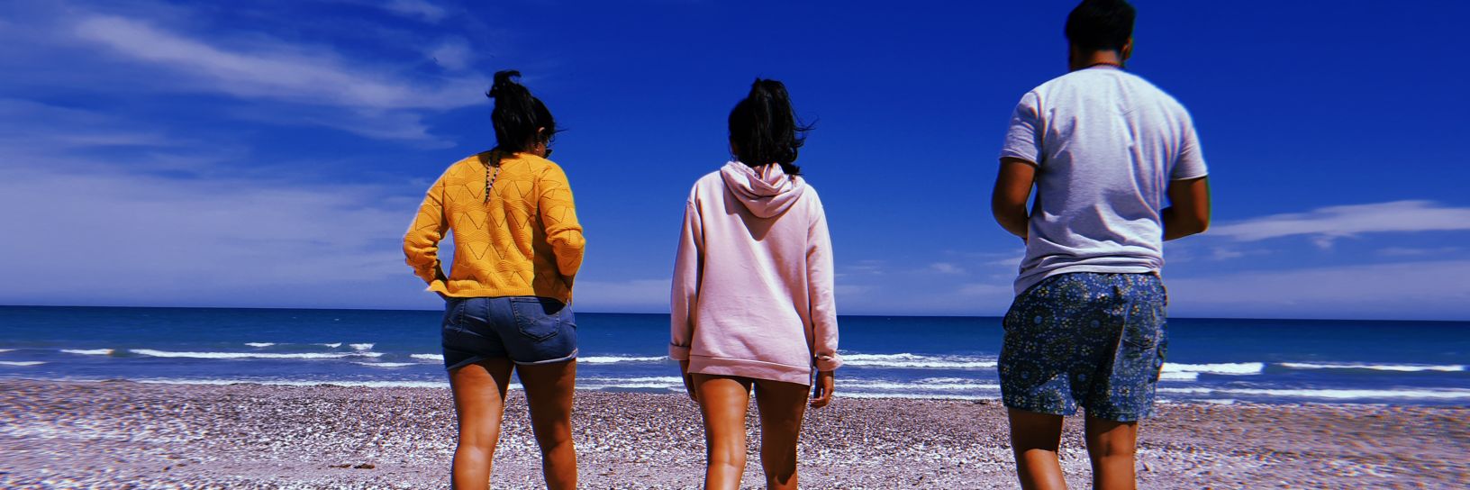 FloresFloppy's profile banner image