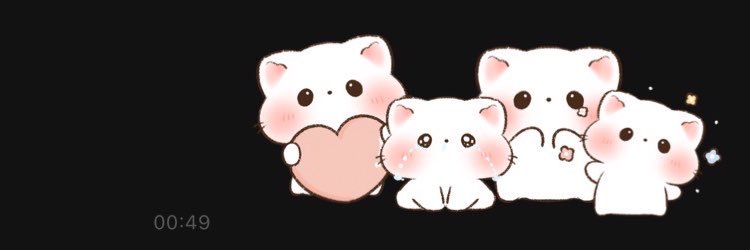 p banner