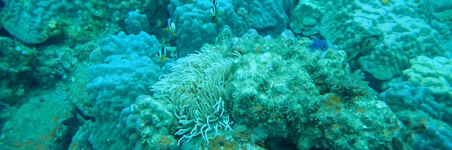 あべまりこ＠理系・ビジネス英語コーチ banner