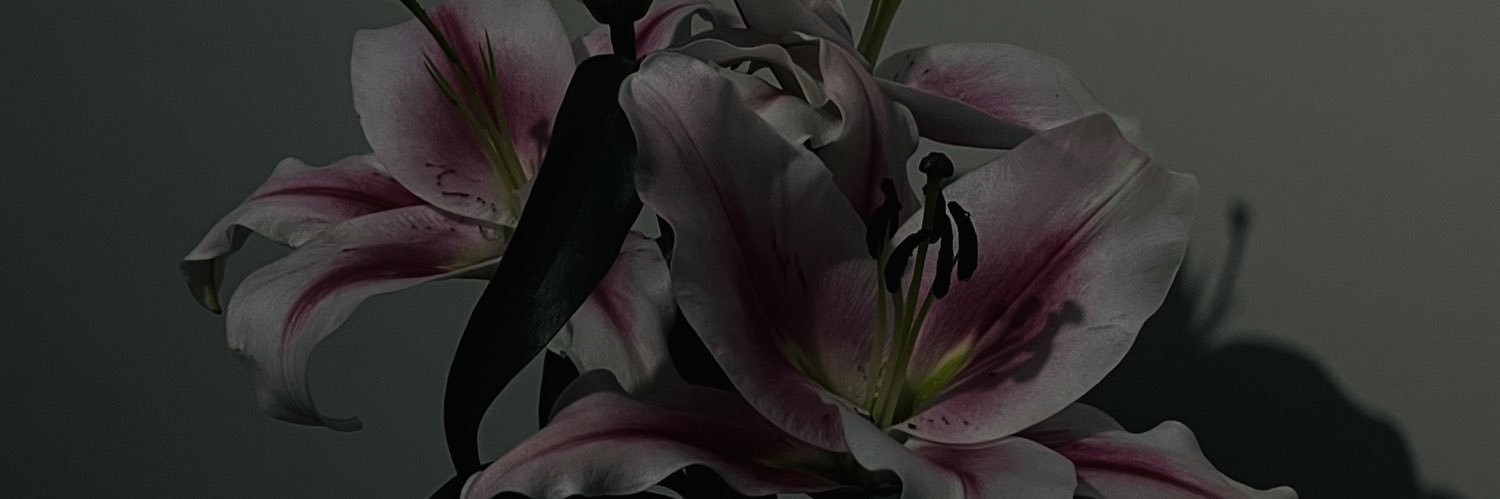 𝘉𝘢𝘩𝘢𝘳 banner