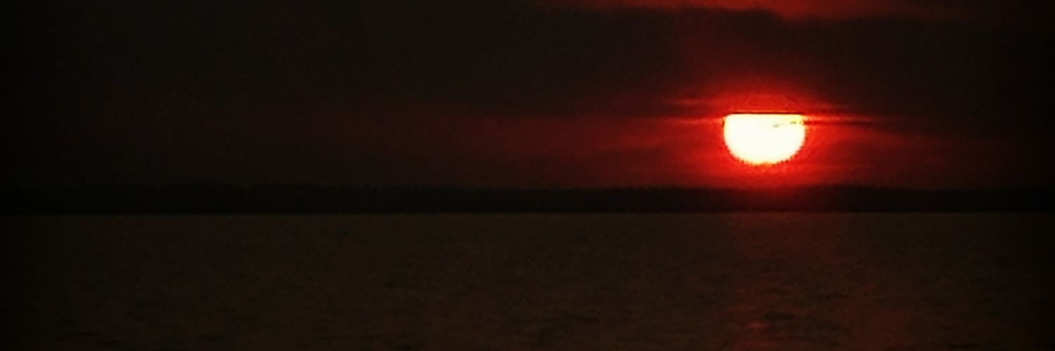 lilabeijer's profile banner image