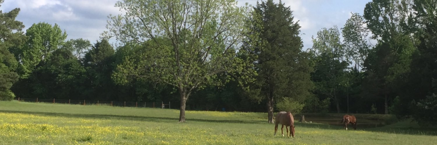 Cynthia Williams banner
