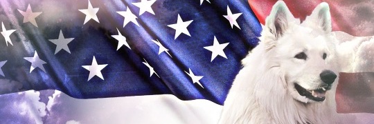 jstarr1444's profile banner image
