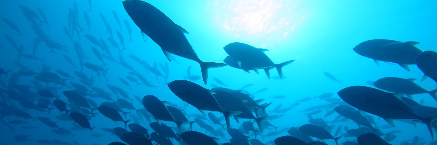Maldives Ocean Plastics Alliance banner