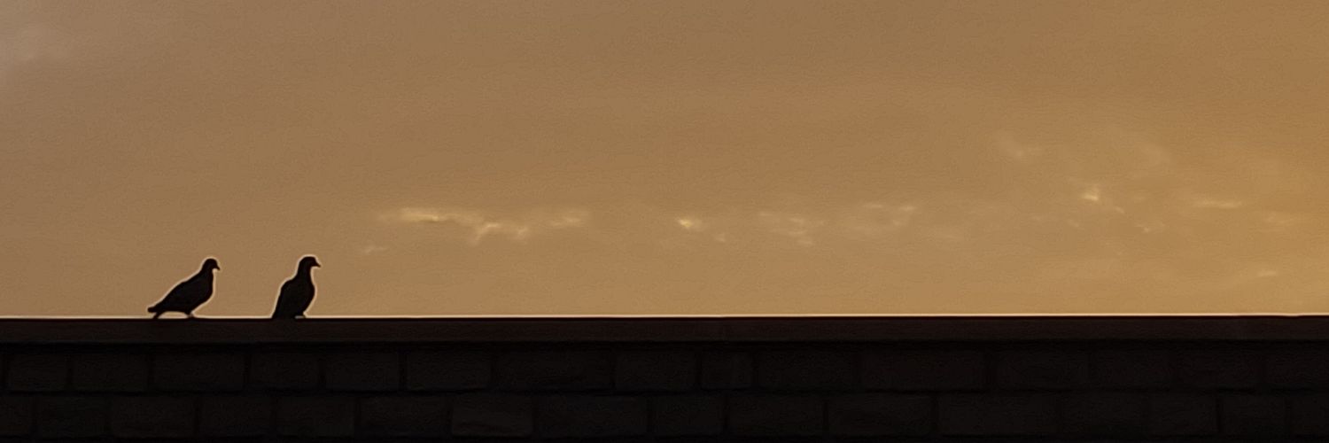Sush_n_Science's profile banner image