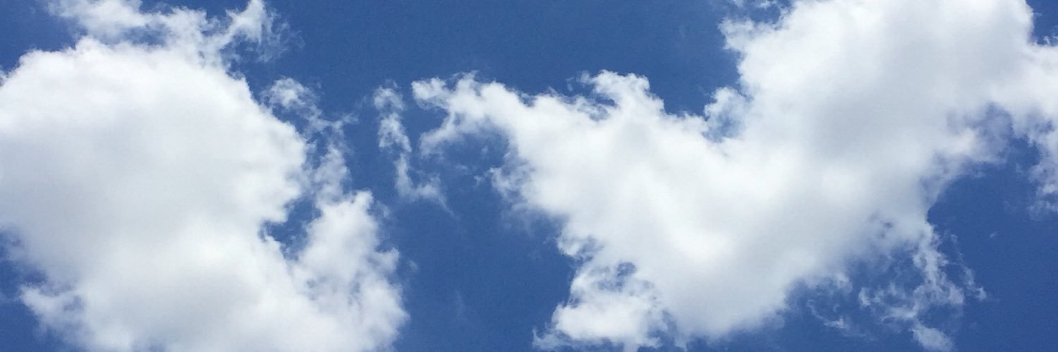 yasmimmrc_'s profile banner image