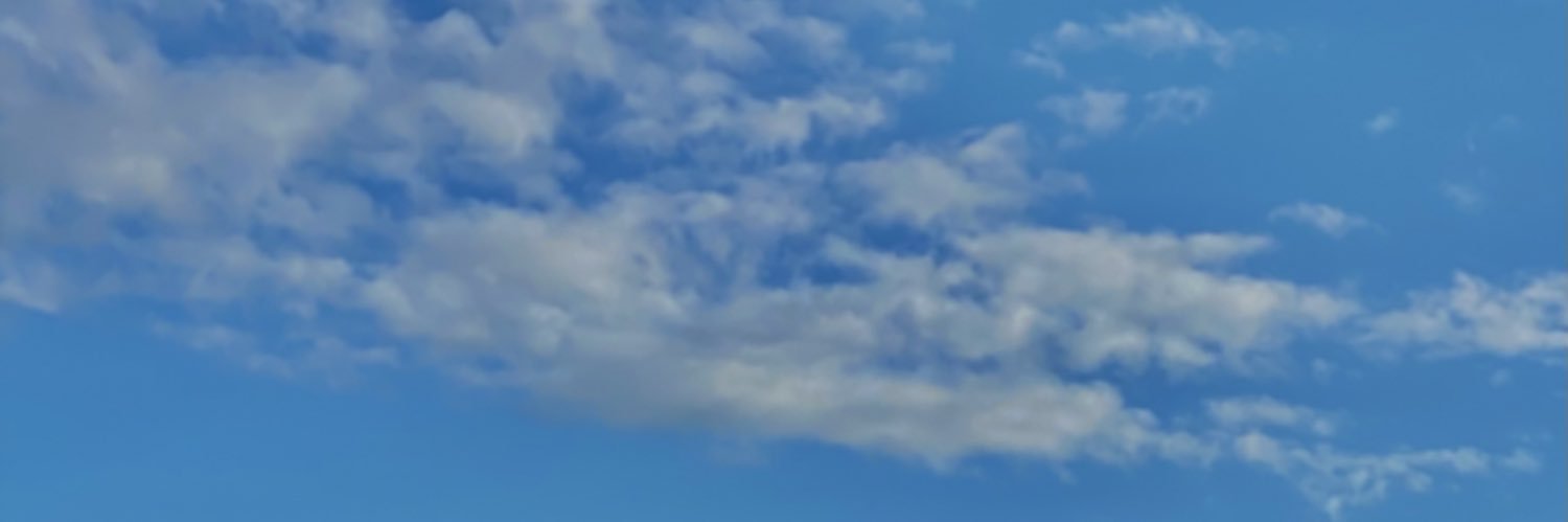 marcelo_rizo's profile banner image