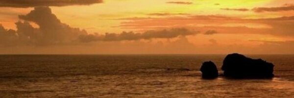 murat_arnn Profile Banner