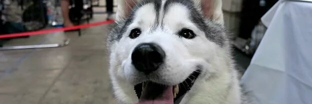 GrandLoup13's profile banner image