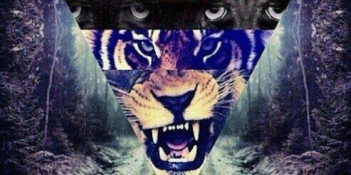 isaaclopez95's profile banner image