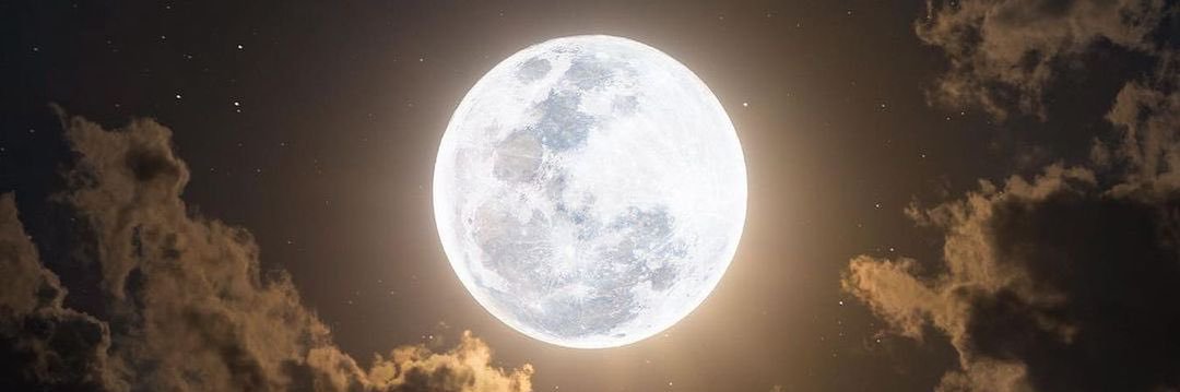 𝔇𝔦𝔞𝔫𝔞 𝔏𝔞𝔲𝔯𝔞 banner