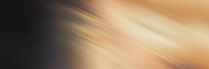 𝐘ungi 🦕 banner