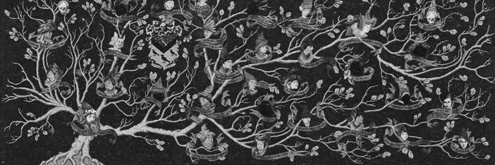 Walburga_TP's profile banner image