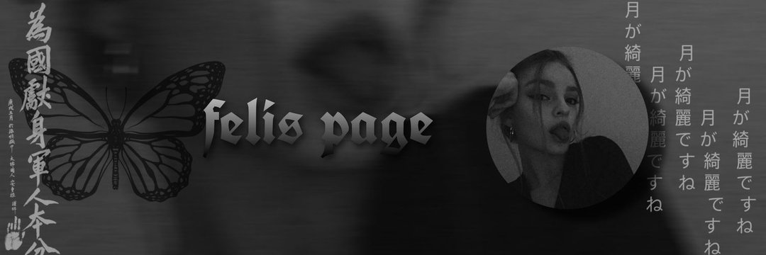 felis banner