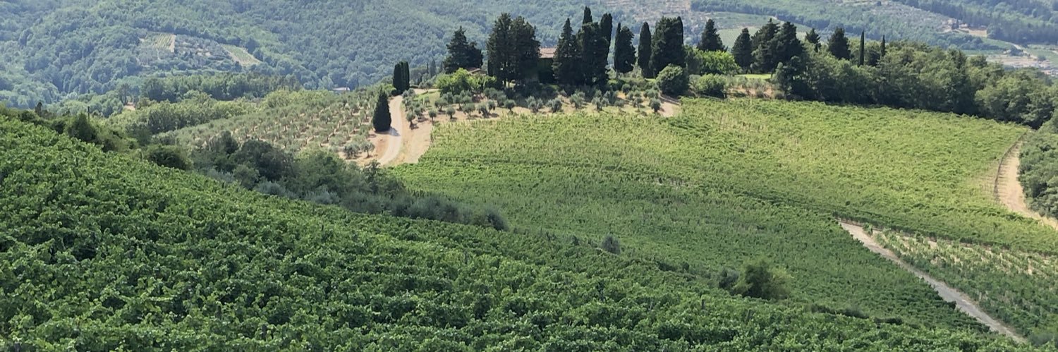 sweervywine's profile banner image