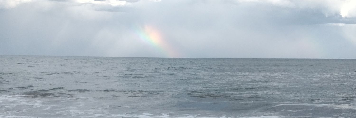 Pablo F. Gallo banner