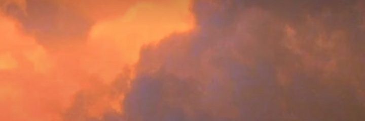 はつ花🌸 banner