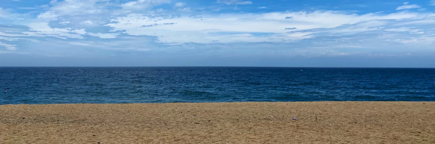 ﾕ ｲ ☺︎ 🌷🦖 banner