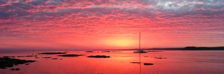 Melissa Ciardulli banner