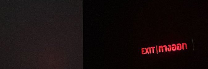 WS🌻 banner