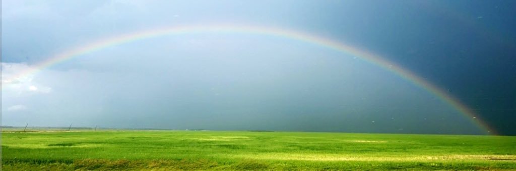 Vitamin Dee's banner