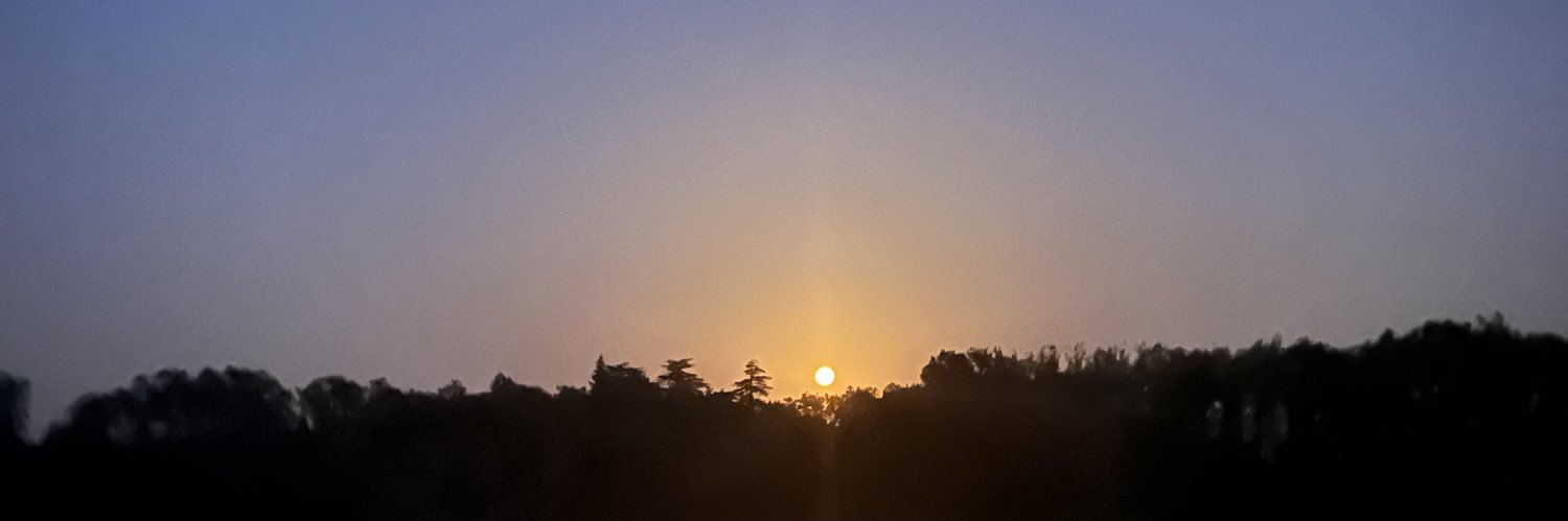 Anna de Haro banner