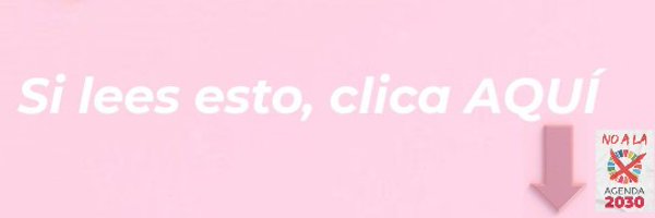martamarco__ Profile Banner