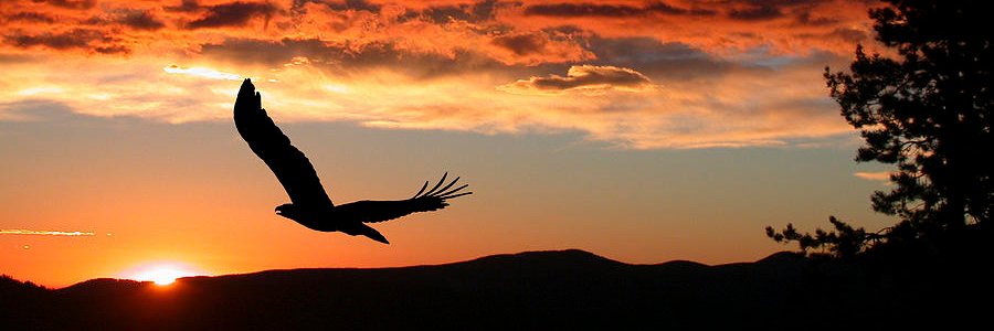 Craig Post 🇺🇸 👣🪕⛰️ banner