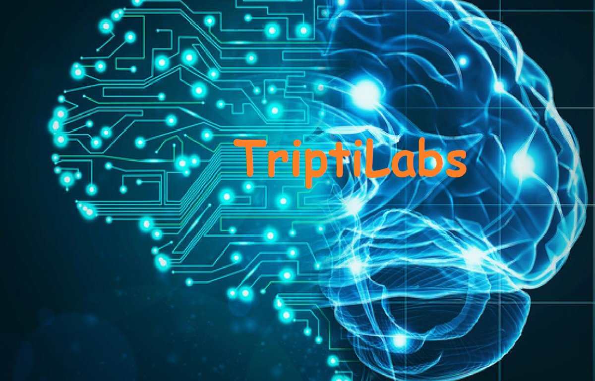 TriptiLabs banner