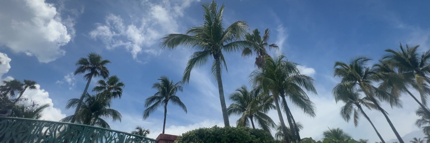 ✨🔪Tiffany Valentine 🔪✨ banner