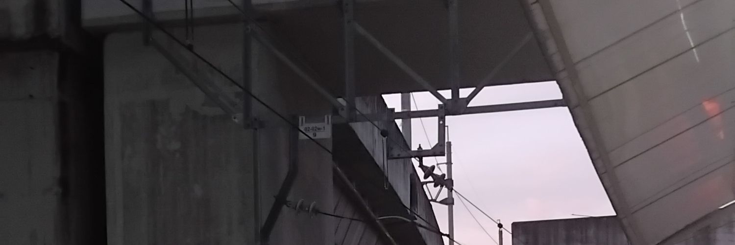 Zia banner