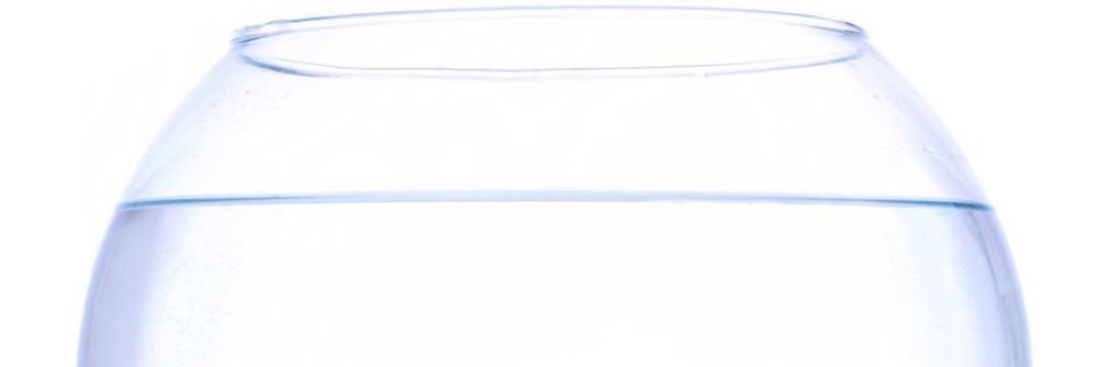 commongoldfish5's profile banner image
