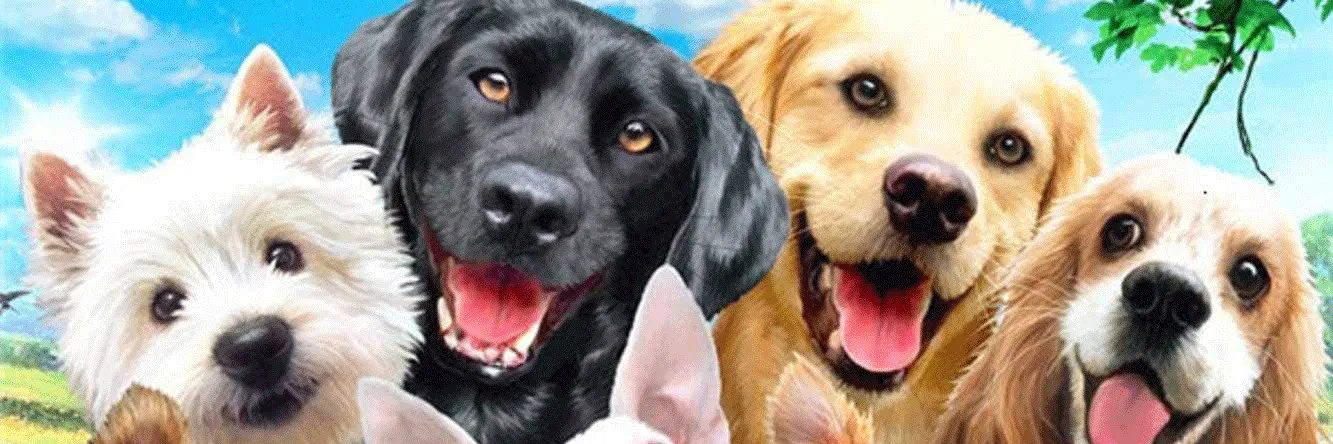 比特狗 Dogs banner
