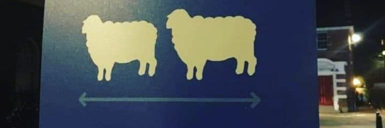 downsideupppp's profile banner image