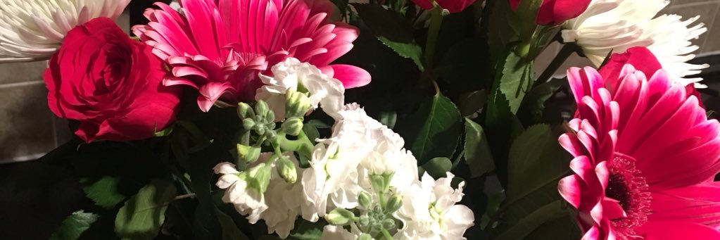 ellebeeX's profile banner image