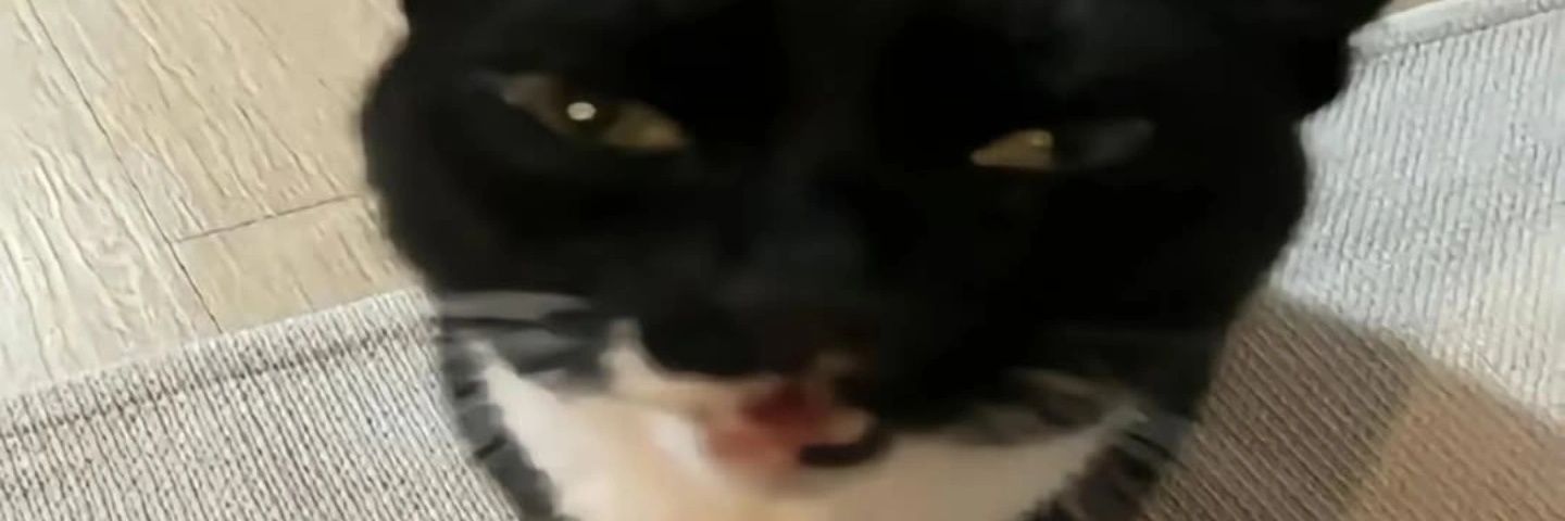 Emily0tj's profile banner image